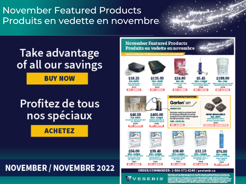 November Featured Products